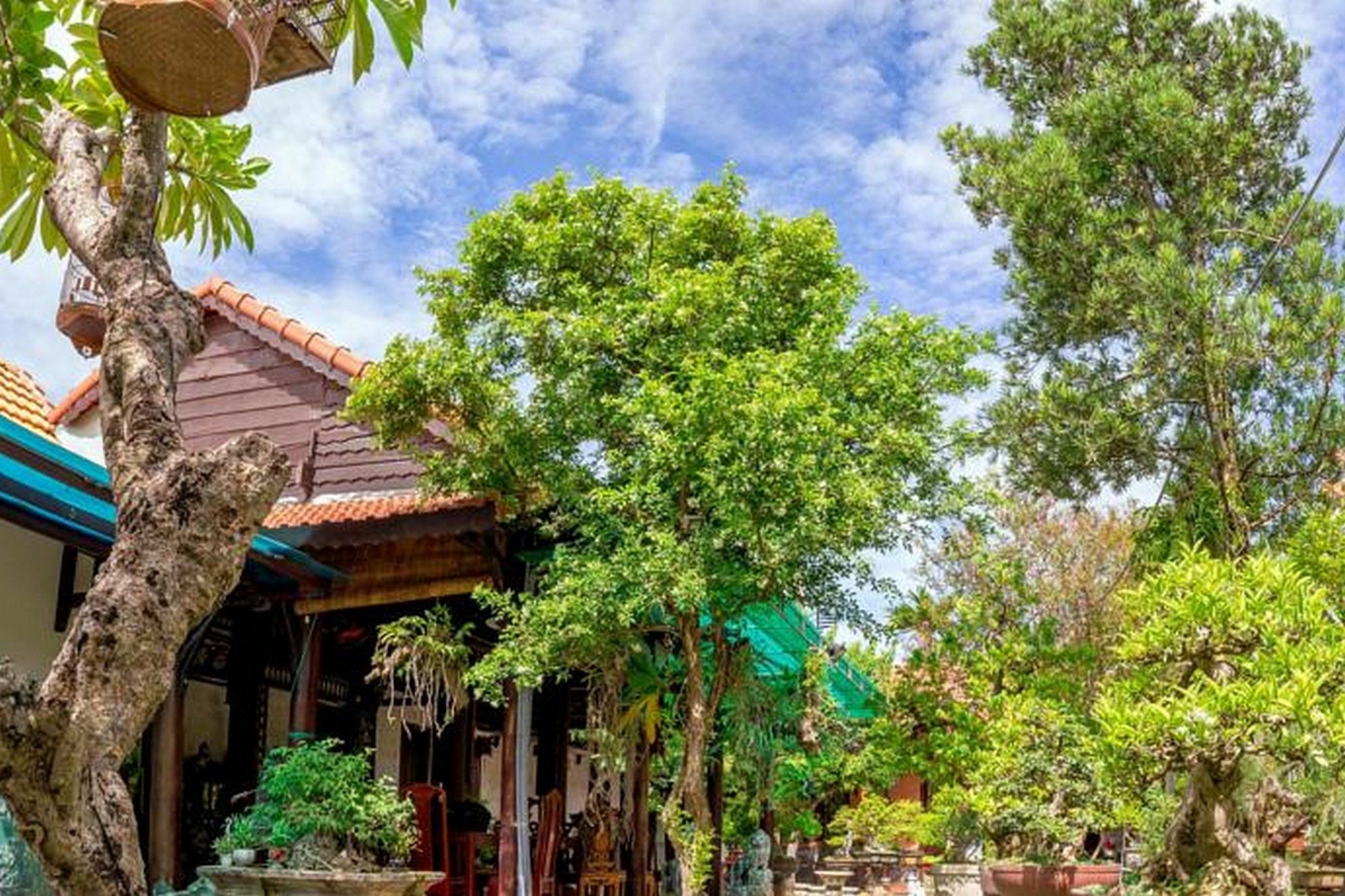 Bonsai Villa Hội An Extérieur photo