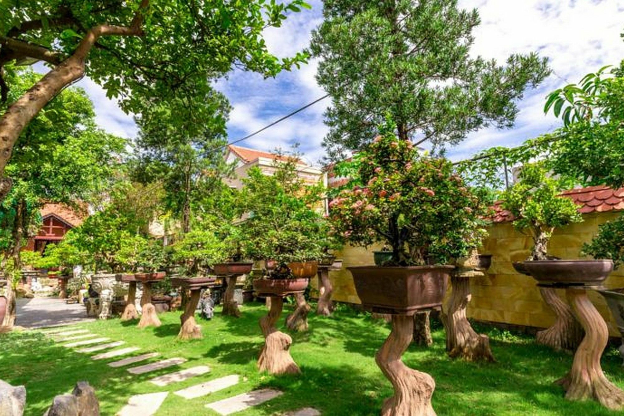 Bonsai Villa Hội An Extérieur photo