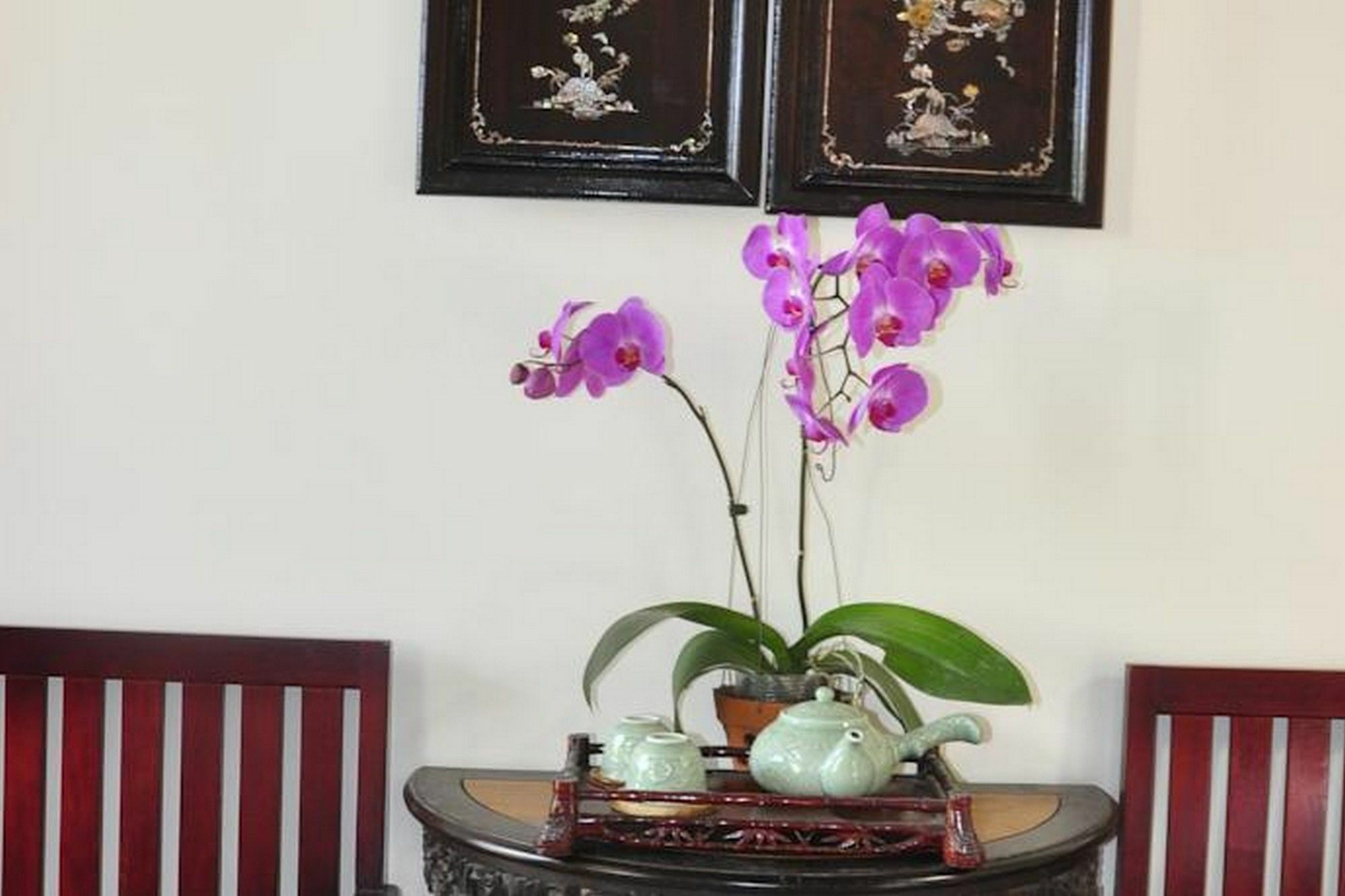 Bonsai Villa Hội An Extérieur photo